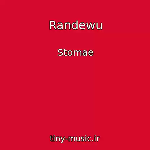 کاور آهنگ Randewu از Stomae