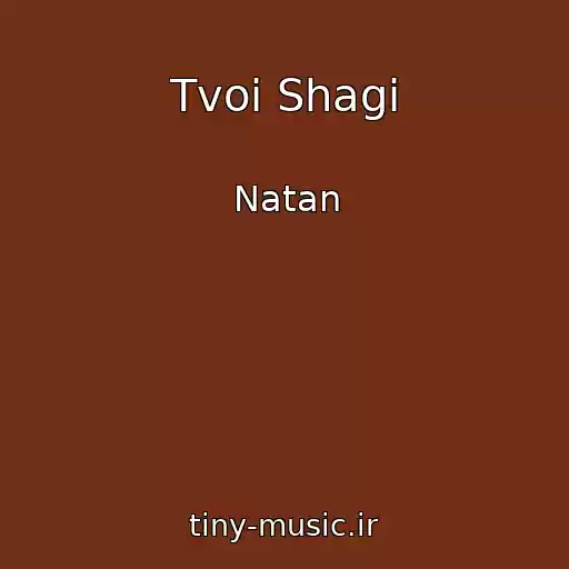 کاور آهنگ Tvoi Shagi از Natan