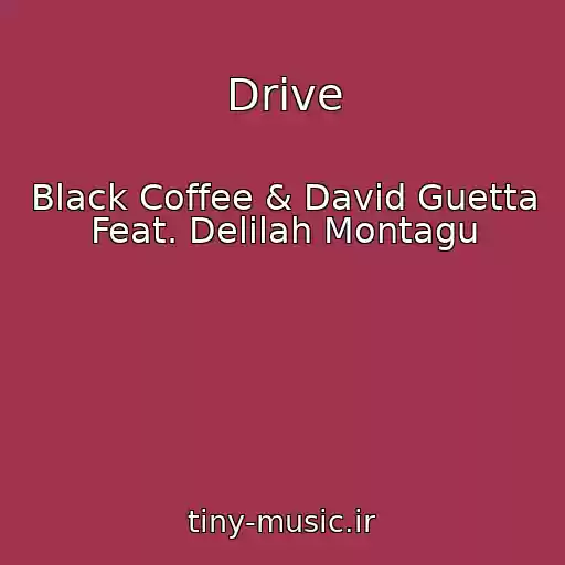 کاور آهنگ Drive از Black Coffee & David Guetta Feat. Delilah Montagu