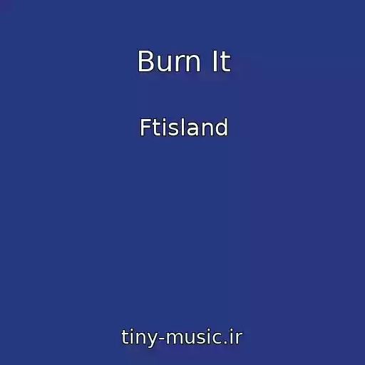 کاور آهنگ Burn It از Ftisland
