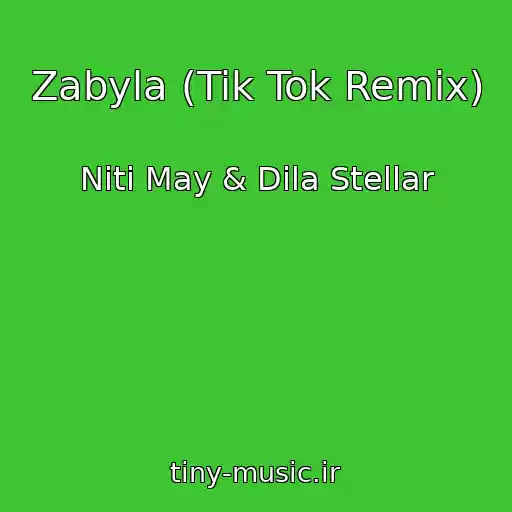 کاور آهنگ Zabyla (Tik Tok Remix) از Niti May & Dila Stellar