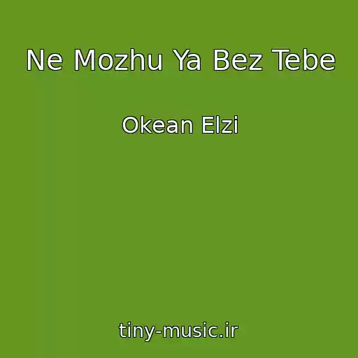 کاور آهنگ Ne Mozhu Ya Bez Tebe از Okean Elzi