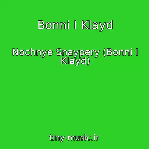 کاور آهنگ Bonni I Klayd از Nochnye Snaypery (Bonni I Klayd)