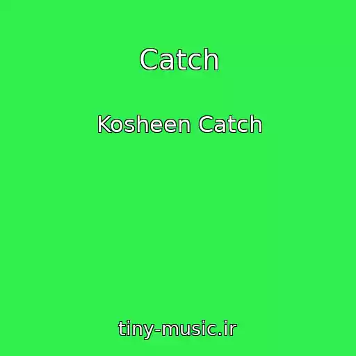 کاور آهنگ Catch از Kosheen Catch