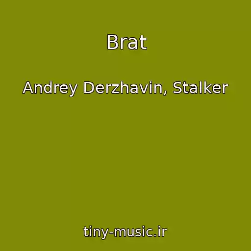 کاور آهنگ Brat از Andrey Derzhavin, Stalker