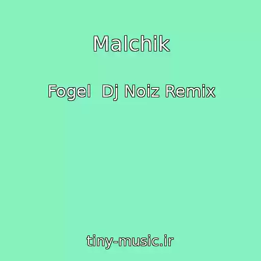 کاور آهنگ Malchik از Fogel  Dj Noiz Remix