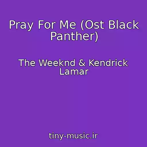 کاور آهنگ Pray For Me (Ost Black Panther) از The Weeknd & Kendrick Lamar