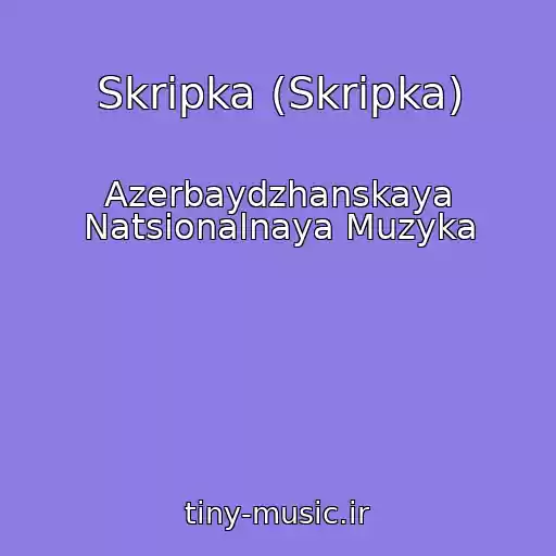 کاور آهنگ Skripka (Skripka) از Azerbaydzhanskaya Natsionalnaya Muzyka