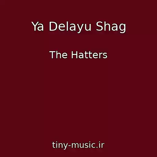 کاور آهنگ Ya Delayu Shag از The Hatters
