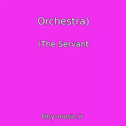 کاور آهنگ Orchestra) از (The Servant