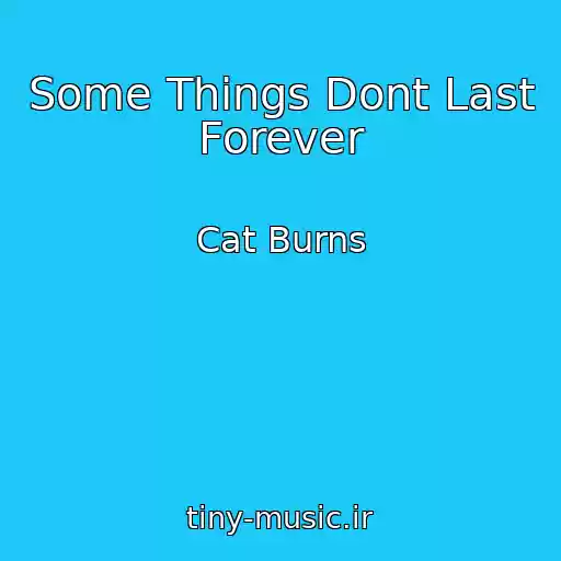 کاور آهنگ Some Things Dont Last Forever از Cat Burns