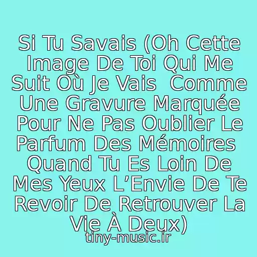 کاور آهنگ Si Tu Savais (Oh Cette Image De Toi Qui Me Suit Où Je Vais  Comme Une Gravure Marquée Pour Ne Pas Oublier Le Parfum Des Mémoires  Quand Tu Es Loin De Mes Yeux L’Envie De Te Revoir De Retrouver La Vie À Deux) از Shy'm