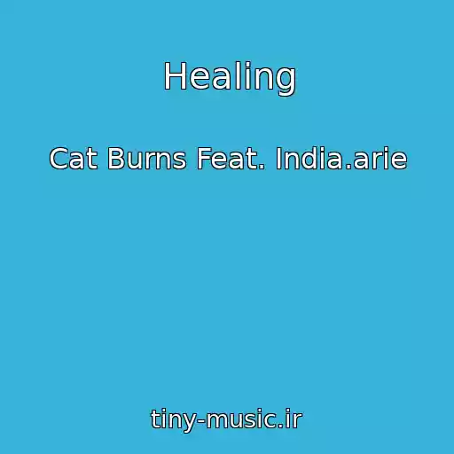کاور آهنگ Healing از Cat Burns Feat. India.arie