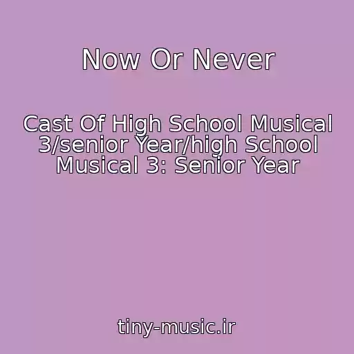 کاور آهنگ Now Or Never از Cast Of High School Musical 3/senior Year/high School Musical 3: Senior Year