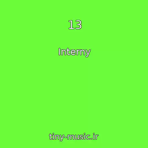 کاور آهنگ 13 از Interny