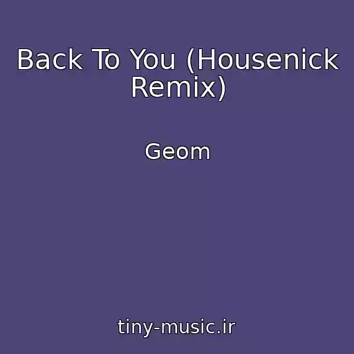 کاور آهنگ Back To You (Housenick Remix) از Geom