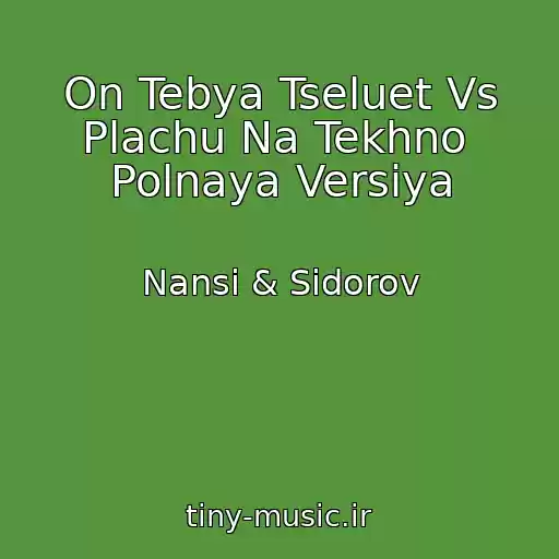 کاور آهنگ On Tebya Tseluet Vs Plachu Na Tekhno  Polnaya Versiya از Nansi & Sidorov