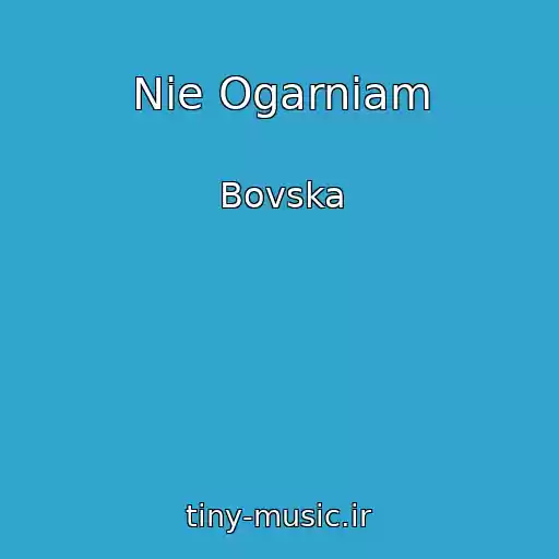 کاور آهنگ Nie Ogarniam از Bovska