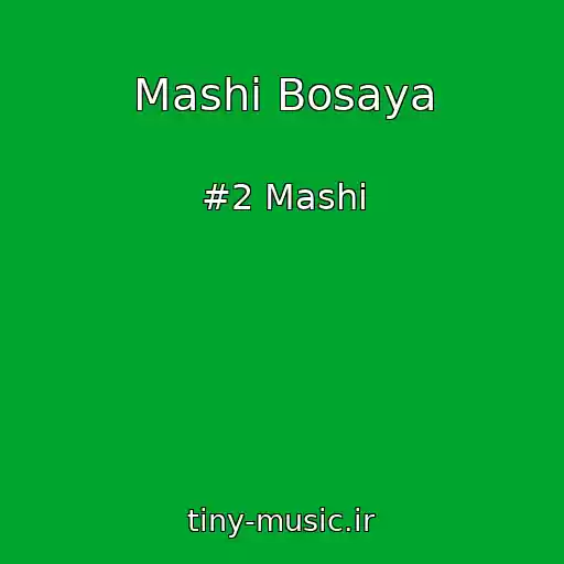 کاور آهنگ Mashi Bosaya از #2 Mashi