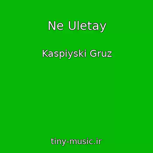 کاور آهنگ Ne Uletay از Kaspiyski Gruz