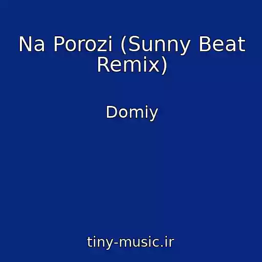 کاور آهنگ Na Porozі (Sunny Beat Remix) از Domiy