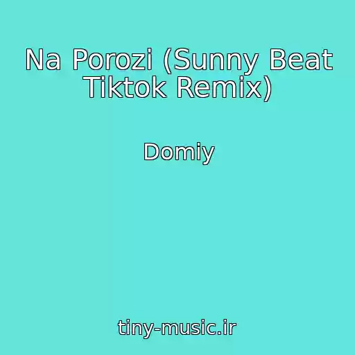 کاور آهنگ Na Porozі (Sunny Beat Tiktok Remix) از Domiy