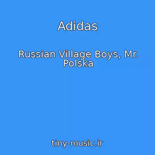 کاور آهنگ Adidas از Russian Village Boys, Mr. Polska