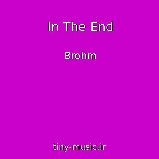 کاور آهنگ In The End از Brohm