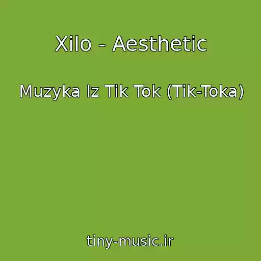کاور آهنگ Xilo - Aesthetic از Muzyka Iz Tik Tok (Tik-Toka)