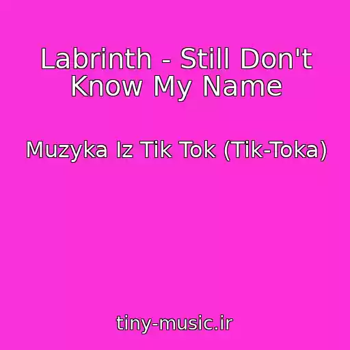 کاور آهنگ Labrinth - Still Don't Know My Name از Muzyka Iz Tik Tok (Tik-Toka)