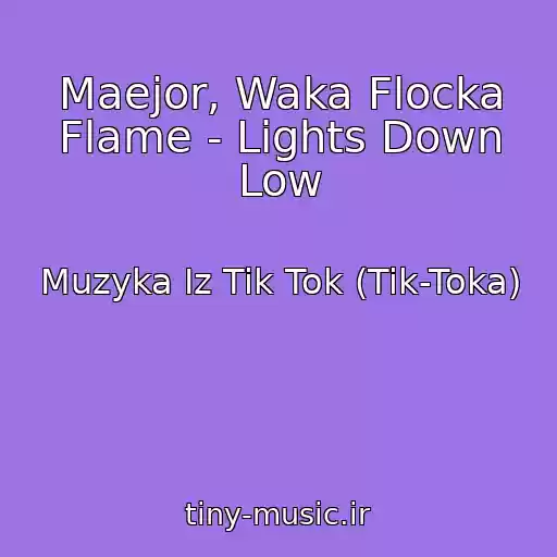 کاور آهنگ Maejor, Waka Flocka Flame - Lights Down Low از Muzyka Iz Tik Tok (Tik-Toka)