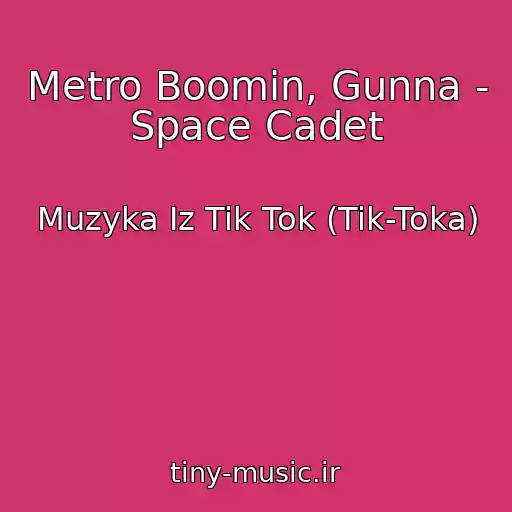 کاور آهنگ Metro Boomin, Gunna - Space Cadet از Muzyka Iz Tik Tok (Tik-Toka)