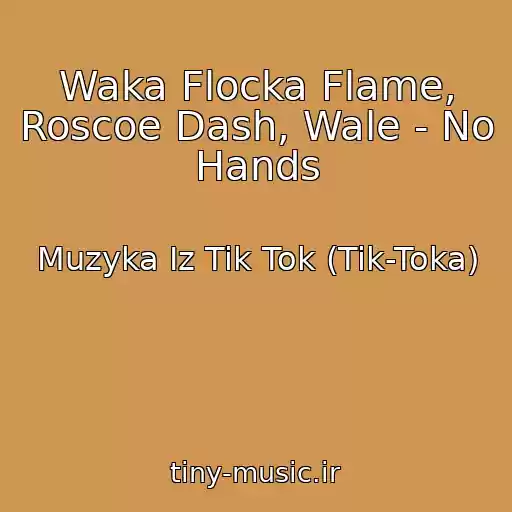 کاور آهنگ Waka Flocka Flame, Roscoe Dash, Wale - No Hands از Muzyka Iz Tik Tok (Tik-Toka)