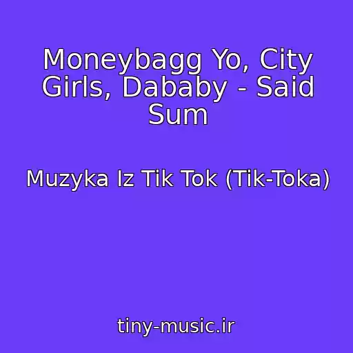 کاور آهنگ Moneybagg Yo, City Girls, Dababy - Said Sum از Muzyka Iz Tik Tok (Tik-Toka)