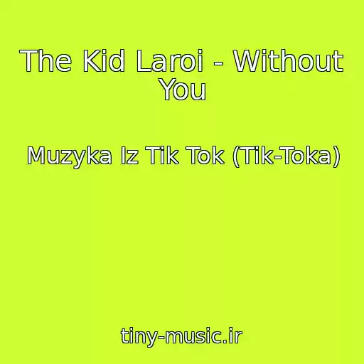کاور آهنگ The Kid Laroi - Without You از Muzyka Iz Tik Tok (Tik-Toka)