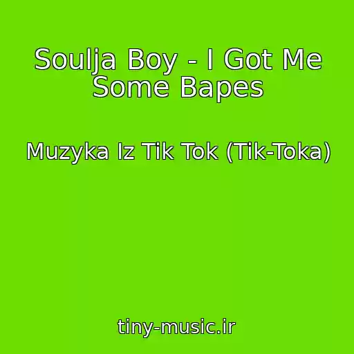 کاور آهنگ Soulja Boy - I Got Me Some Bapes از Muzyka Iz Tik Tok (Tik-Toka)