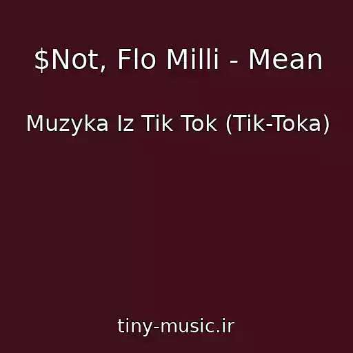 کاور آهنگ $Not, Flo Milli - Mean از Muzyka Iz Tik Tok (Tik-Toka)