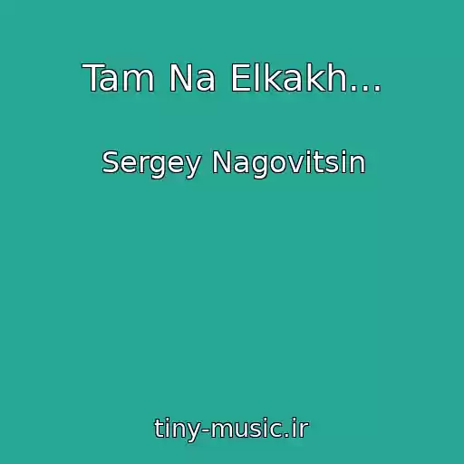 کاور آهنگ Tam Na Elkakh... از Sergey Nagovitsin