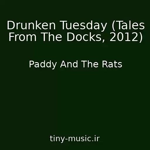 کاور آهنگ Drunken Tuesday (Tales From The Docks, 2012) از Paddy And The Rats