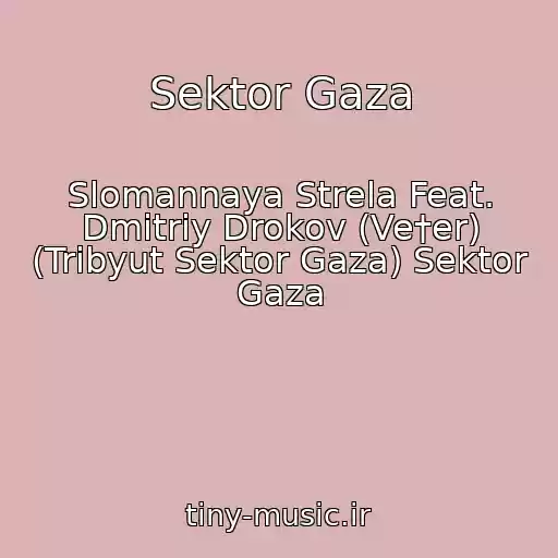 کاور آهنگ Sektor Gaza از Slomannaya Strela Feat. Dmitriy Drokov (Ve†er) (Tribyut Sektor Gaza) Sektor Gaza