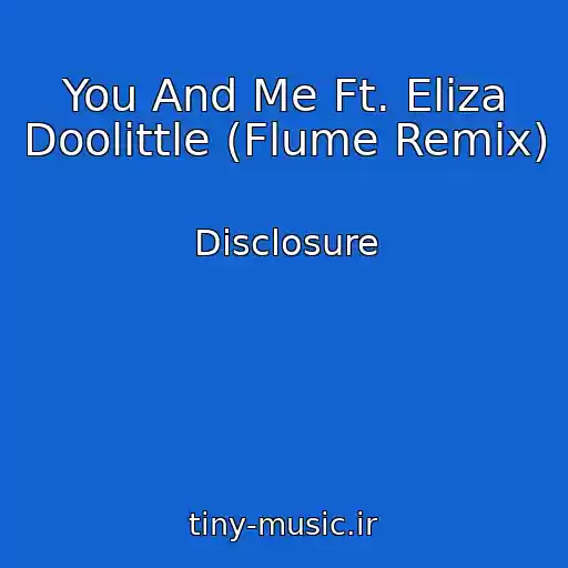 کاور آهنگ You And Me Ft. Eliza Doolittle (Flume Remix) از Disclosure