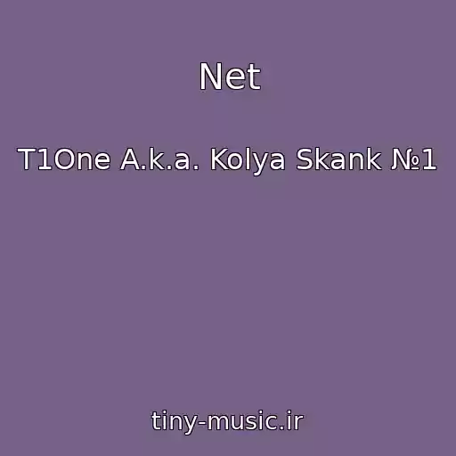 کاور آهنگ Net از T1One A.k.a. Kolya Skank №1