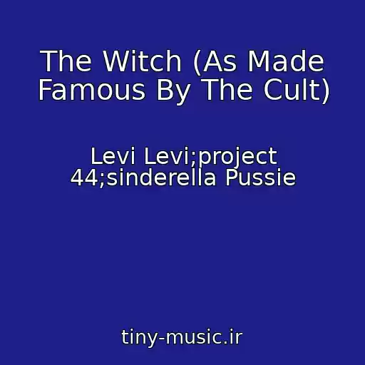 کاور آهنگ The Witch (As Made Famous By The Cult) از Levi Levi;project 44;sinderella Pussie