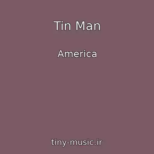 کاور آهنگ Tin Man از America