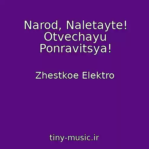 کاور آهنگ Narod, Naletayte! Otvechayu Ponravitsya! از Zhestkoe Elektro