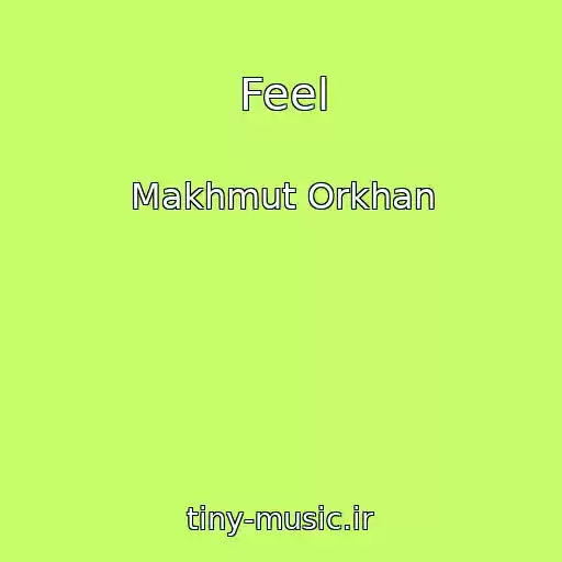 کاور آهنگ Feel از Makhmut Orkhan