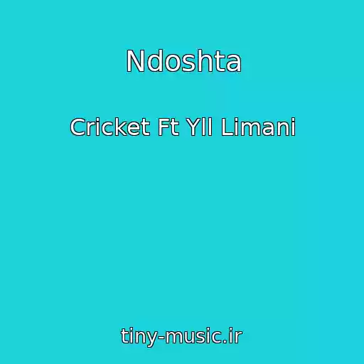 کاور آهنگ Ndoshta از Cricket Ft Yll Limani