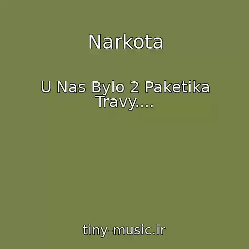کاور آهنگ Narkota از U Nas Bylo 2 Paketika Travy....