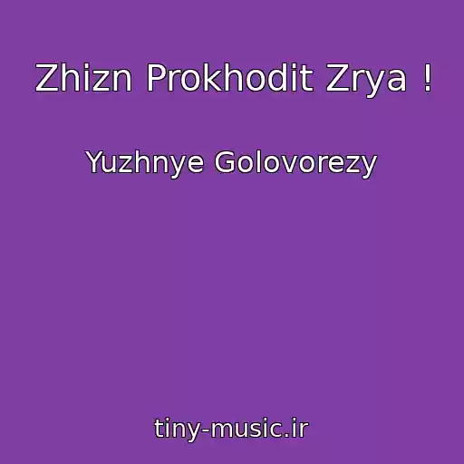 کاور آهنگ Zhizn Prokhodit Zrya ! از Yuzhnye Golovorezy