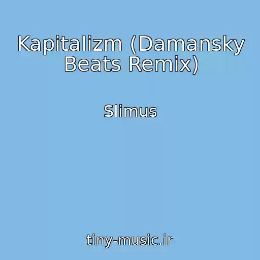 کاور آهنگ Kapitalizm (Damansky Beats Remix) از Slimus
